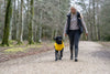 Rukka Stream Yellow Dog Raincoat Dog Apparel Rukka 