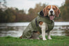 Rukka Streamy Eco Dog Raincoat (New) Dog Apparel Rukka 