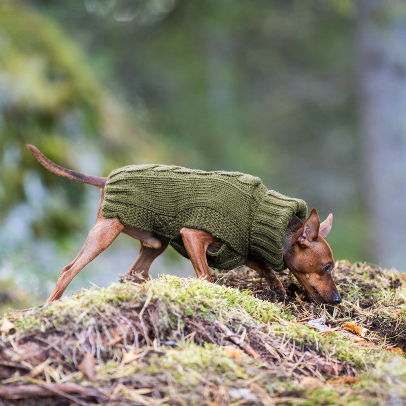 Rukka Wooly Knitwear Dog Sweater – Travfurler