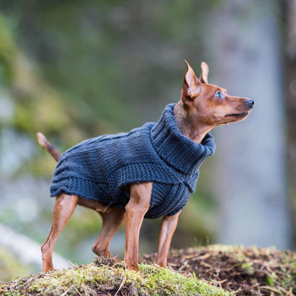Rukka Wooly Knitwear Dog Sweater Dog Apparel Rukka 