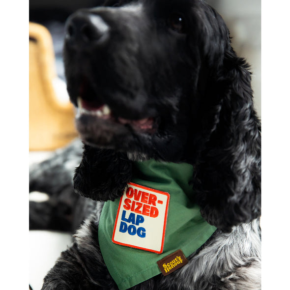 Scouts Honour Iron On Patches For Dogs Appliques & Patches Scouts Honour Oversized Lap Dog 