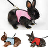 Small Mammal Walk 'N' Vest Harness & Leash Set Travfurler Ltd 