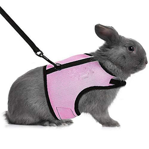 Small Mammal Walk 'N' Vest Harness & Leash Set Travfurler Ltd Small Lilac 