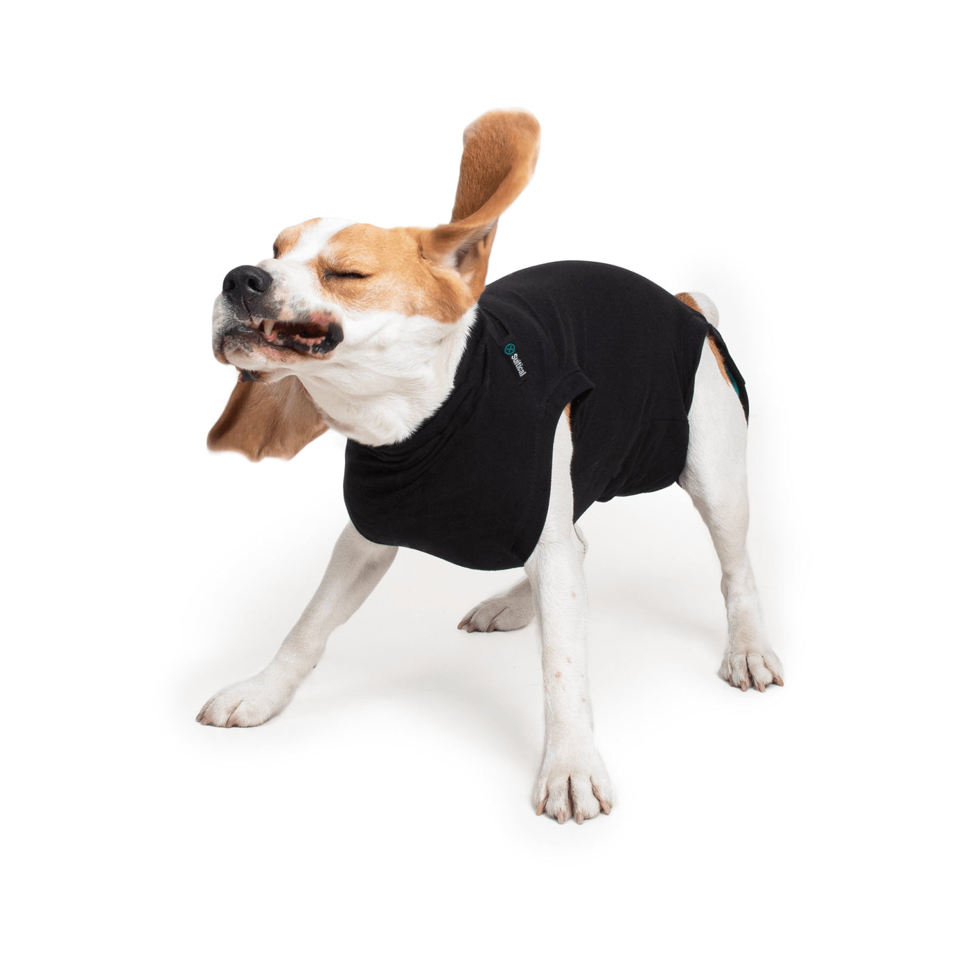 Suitical Dog Recovery Suit – Travfurler