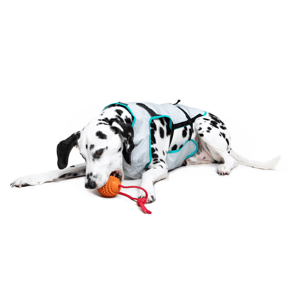 Suitical Dry Cooling Vest For Dogs Dog Apparel Suitical 