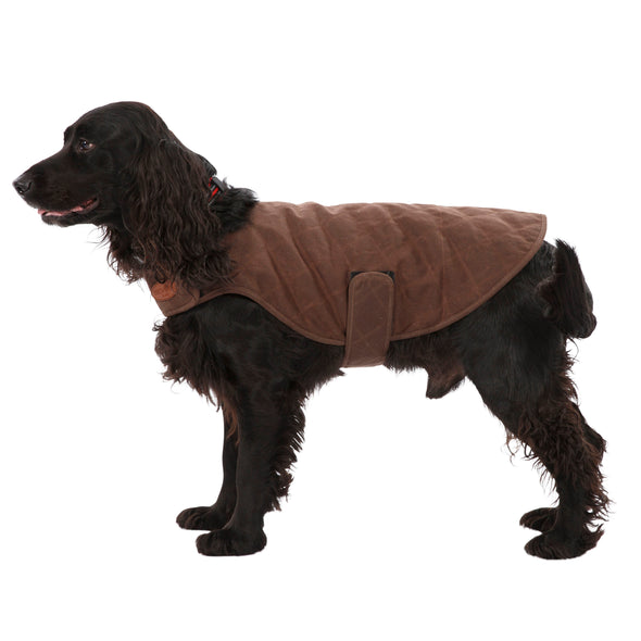 Trespaws Artemis Waxed Cotton Dog Coat Dog Apparel Trespaws M 