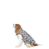 Trespaws Charly Camo Dog Raincoat Dog Apparel Trespaws XS 
