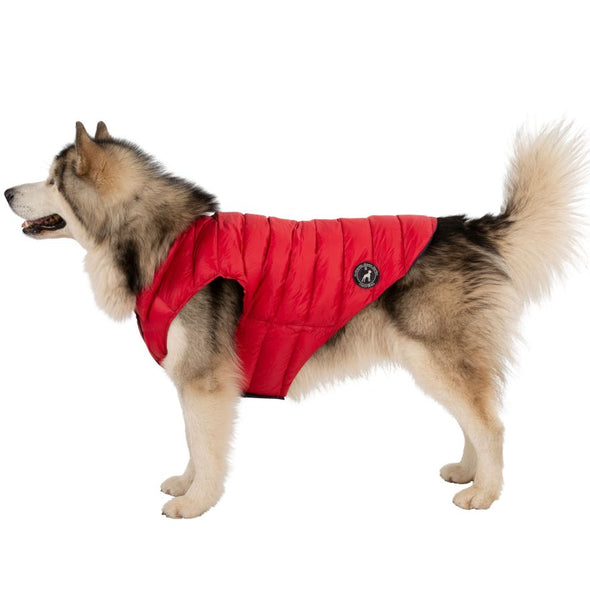 Trespaws Dogby Down Dog Puffer Jacket Dog Apparel Trespaws XL 