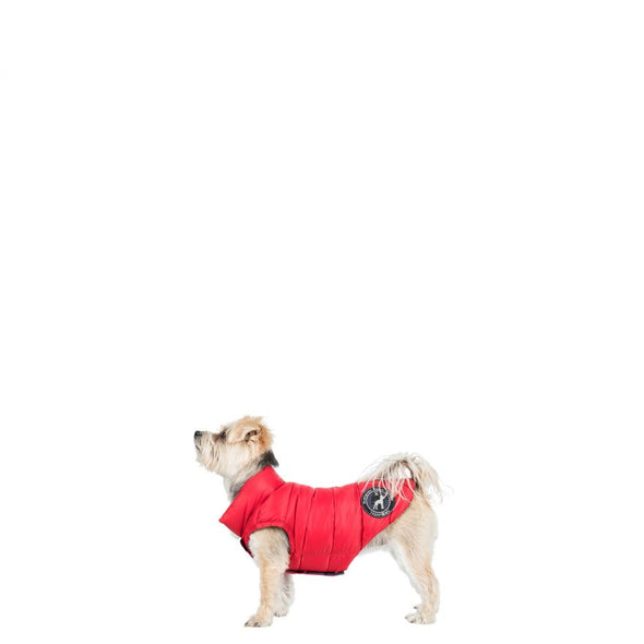 Trespaws Dogby Down Dog Puffer Jacket Dog Apparel Trespaws XXS 