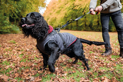 Trespaws Hercules Dog Coat With Harness Dog Apparel Trespaws 