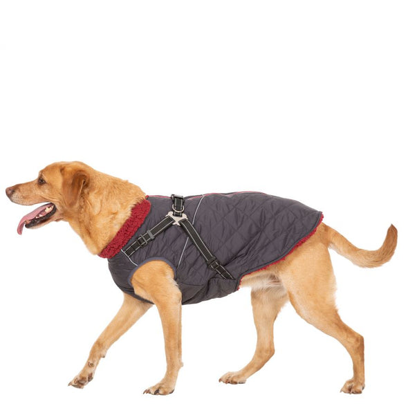 Trespaws Hercules Dog Coat With Harness Dog Apparel Trespaws L 