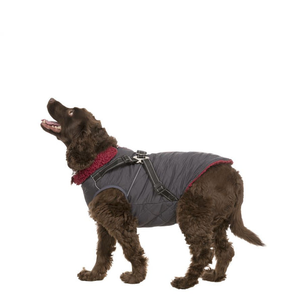 Trespaws Hercules Dog Coat With Harness Dog Apparel Trespaws M 