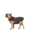 Trespaws Hercules Dog Coat With Harness Dog Apparel Trespaws S 