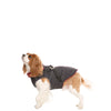 Trespaws Hercules Dog Coat With Harness Dog Apparel Trespaws XS 