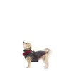 Trespaws Hercules Dog Coat With Harness Dog Apparel Trespaws XXS 