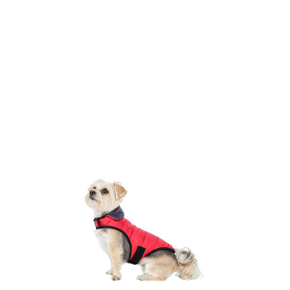 Trespaws Kimmi Reversible Quilted Dog Coat Dog Apparel Trespaws 
