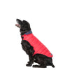 Trespaws Kimmi Reversible Quilted Dog Coat Dog Apparel Trespaws 