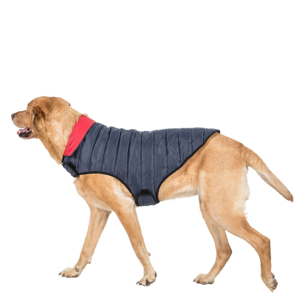 Trespaws Kimmi Reversible Quilted Dog Coat Dog Apparel Trespaws L 