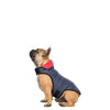 Trespaws Kimmi Reversible Quilted Dog Coat Dog Apparel Trespaws S 