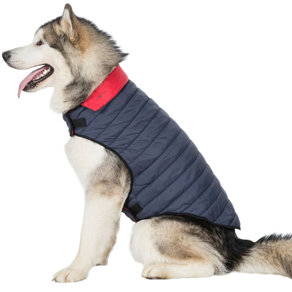 Trespaws Kimmi Reversible Quilted Dog Coat Dog Apparel Trespaws XL 