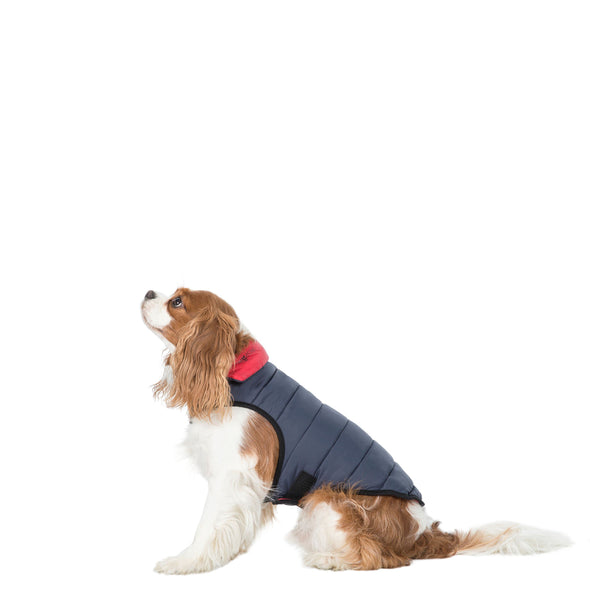 Trespaws Kimmi Reversible Quilted Dog Coat Dog Apparel Trespaws XS 