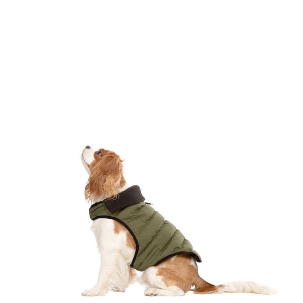Trespaws Lloyd Eco Friendly Dog Puffer Jacket Dog Apparel Trespaws XS 