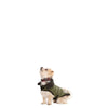 Trespaws Lloyd Eco Friendly Dog Puffer Jacket Dog Apparel Trespaws XXS 