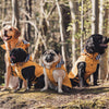 Trespaws Seadog Yellow Dog Coat with Hood Dog Apparel Trespaws 