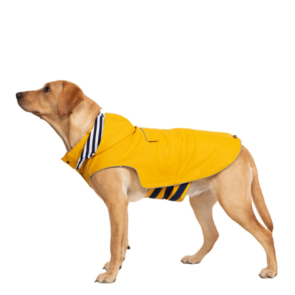 Trespaws Seadog Yellow Dog Coat with Hood Dog Apparel Trespaws L 