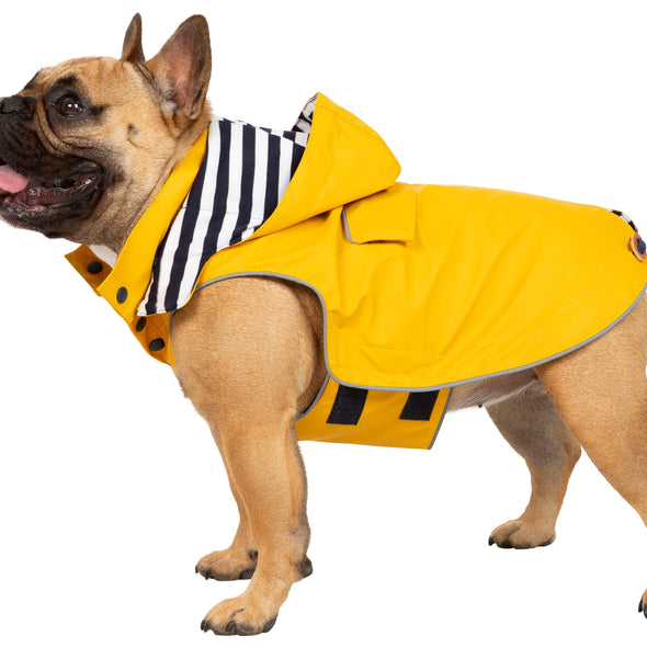 Trespaws Seadog Yellow Dog Coat with Hood Dog Apparel Trespaws S 