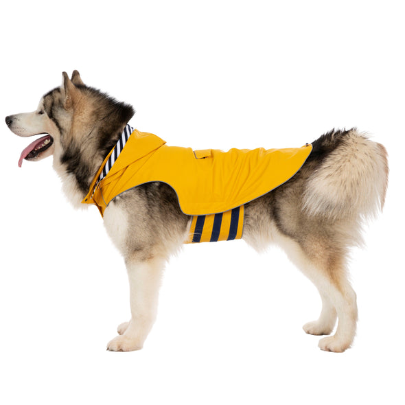 Trespaws Seadog Yellow Dog Coat with Hood Dog Apparel Trespaws XL 