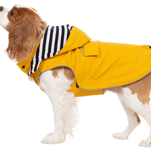 Trespaws Seadog Yellow Dog Coat with Hood Dog Apparel Trespaws XS 