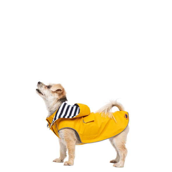 Trespaws Seadog Yellow Dog Coat with Hood Dog Apparel Trespaws XXS 