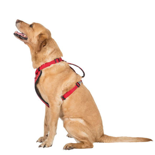 Trespaws Tanked Pet Car Safety Harness Pet Collars & Harnesses Trespaws L/XL 