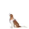 Trespaws Tanked Pet Car Safety Harness Pet Collars & Harnesses Trespaws XXS/XS 