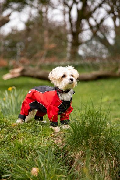 Trespaws Tia Windproof Dog Coat With Leg Covers Dog Apparel Trespaws 