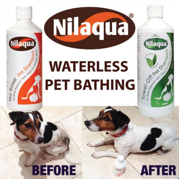 Waterless Dog Shampoo - Nilaqua Mulberry Fragrance Shampoo Nilaqua 