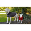 Winter Dog & Cat Jumper, Short Style - Canine & Co jumper Travfurler Ltd 